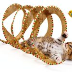 Spiral Tunnel Cat Toy Potaroma Foldable Tunnel with Feather Bell-0