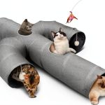 Cat Tunnel Ownpets 12 Inch Oxford Fabric Cactus Shape Collapsible-0