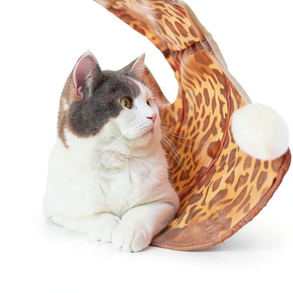 Collapsible Cat Tunnel PAWZ Road XL Wide 51" x 12" for Large Cats-4