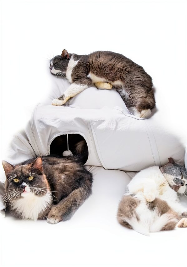 Cat Tunnel Bed XL by XxingSheep Tunnel with Cool Mat Dark Gray-2