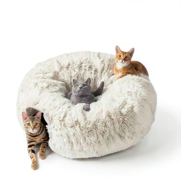 Cat Tunnel NEZIN Indoor Donut Playground with Plush Bed for Cats-6